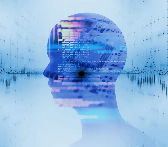 Özel Yazılım ve Web Çözümleri